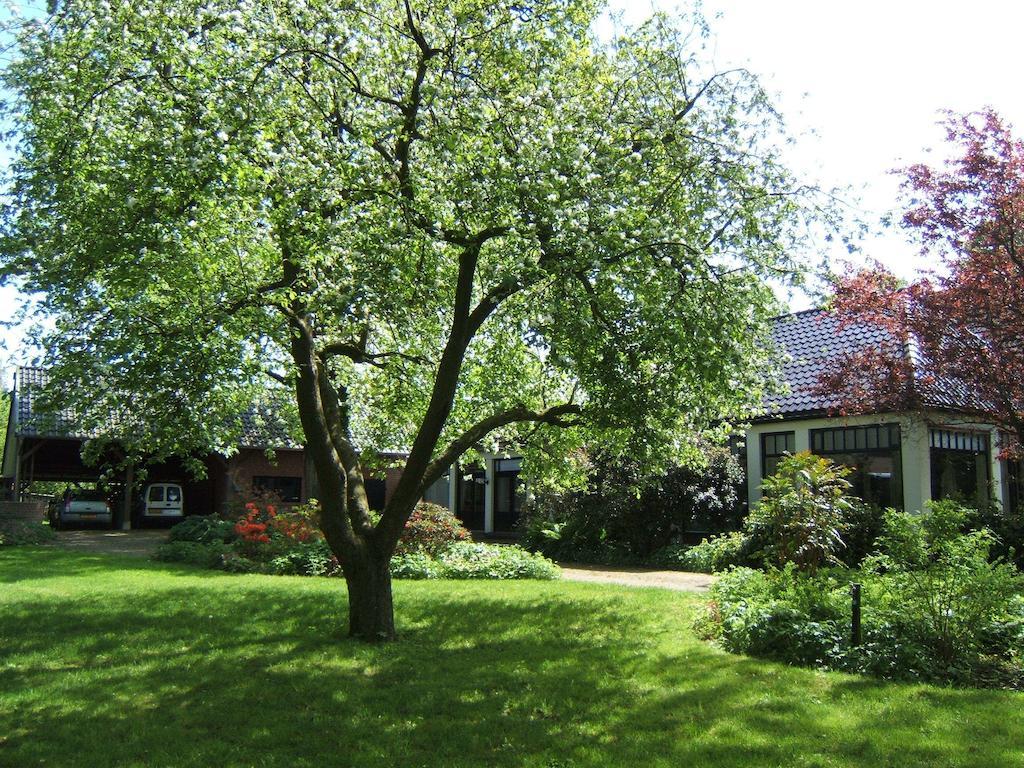 B&B"De Hassehof" Sellingen Exterior photo